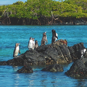 Active Galapagos Islands Land Tours