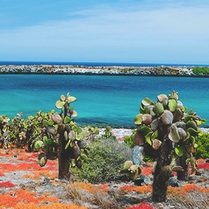 Active Galapagos Islands Land Tours